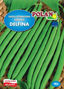 PLATINET NASIONA FASOLA SZPARAGOWA ZIELONA DELFINA COMMON BEAN GREEN SEEDS 30 G 2