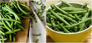 PLATINET NASIONA FASOLA SZPARAGOWA ZIELONA DELFINA COMMON BEAN GREEN SEEDS 30 G 4