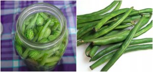 PLATINET NASIONA FASOLA SZPARAGOWA ZIELONA DELFINA COMMON BEAN GREEN SEEDS 30 G 5