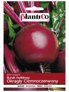 PLATINET NASIONA BURAK ĆWIKŁOWY OKRĄŁY BEETROOT SEEDS 20 G 2