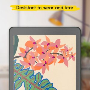 doodroo Screen Protector do Onyx Boox Nova 2/3/3 Color/Pro 7.8" 5