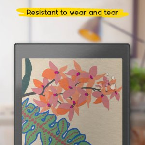 doodroo Screen Protector do Onyx Boox Nova Air/Air C/Air 2/Tab mini C 5