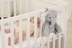 CLOUD`B-CLTT-7800-PRZYTULANKA POZYTYWKA  SŁOŃ ELI 6