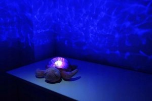 Cloud B CLOUD`B-CLTT-9001-PROJEKTOR Z POZYTYWKĄ ŻÓŁW PODWODNY RÓŻ ECO* 2