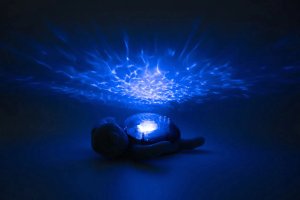 CLOUD`B-CLTT-9001-LAMPKA NOCNA ŻÓŁW        PODWODNY-FIOLET ECO 2