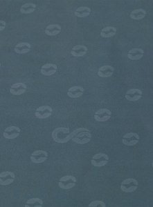 Palapinė Outwell Sky 6, mėlyna 6