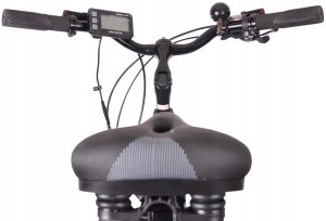 Elektrinis dviratis Esperia, 28", pilkas 2