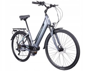 Elektrinis dviratis Esperia, 28", pilkas 3