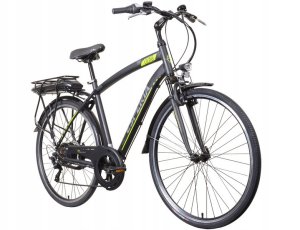 Elektrinis dviratis Esperia 28" E250, pilkas 1