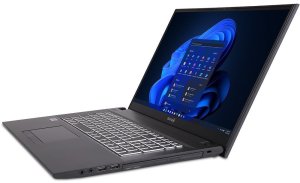 TERRA MOBILE 1716R i3-1315U W11 Home US 4