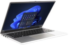 TERRA MOBILE 1410R i5-1334U W11P US 15