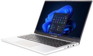 TERRA MOBILE 1410R i5-1334U W11P US 5