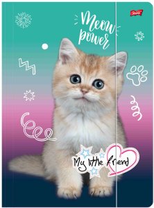Teczka z gumką A4 My Little Friend Kitty Party 1