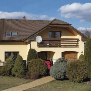 Przycisk do dzwonka Emos P5728T 11