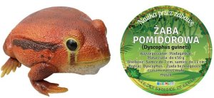 *****Żaba pomidorowa 27cm 21484 14840**** 1