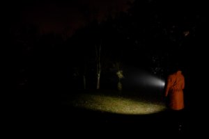 Latarka taktyczna Newell FL250L USB-C 19