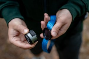 Latarka czołowa Newell Campina Multi 8