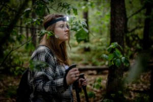 Latarka czołowa Newell Campina Multi 9