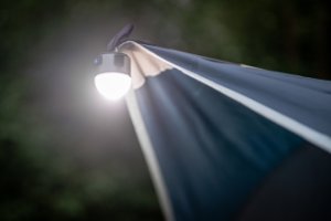 Latarka czołowa Newell Campina Multi 10