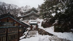 Obiektyw Venus Optics Obiektyw Laowa 10 mm f/4,0 Cookie dla Canon RF 12