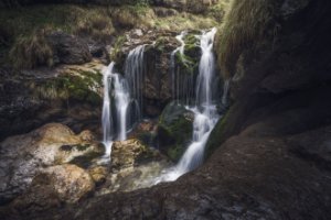 Obiektyw Venus Optics Obiektyw Laowa 10 mm f/4,0 Cookie dla Canon RF 21