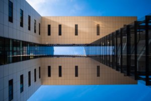 Obiektyw Venus Optics Obiektyw Laowa 10 mm f/4,0 Cookie dla Canon RF 6