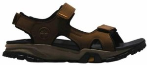 Sandały górskie Timberland Winsor Trail Brązowy - 40 1