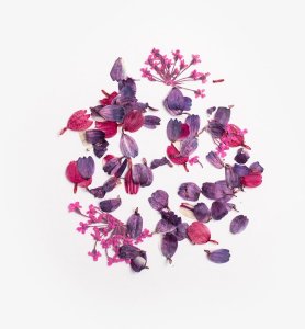 SEMILAC Flower Flakes Wild Orchid 3