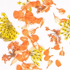 SEMILAC Flower Flakes Golden Sunset 2