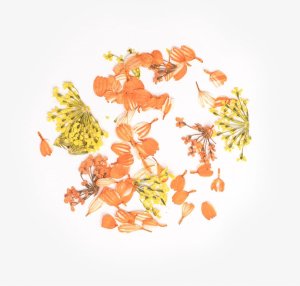 SEMILAC Flower Flakes Golden Sunset 3