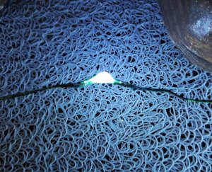 Lampki na druciku  sznur 10 m  100 LED  zewnętrzne oświetlenie świąteczne NR 0203 Zimny biały 5