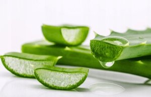 L_ANGELICA PASTA OCHRONA DZIĄSEŁ 75ml 3