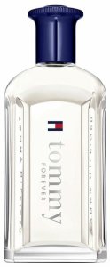 Perfumy Męskie Tommy Hilfiger TOMMY FOREVER EDT 100 ml 1