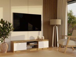 Topeshop RTV Malwa 140 ARTISAN BIEL 11