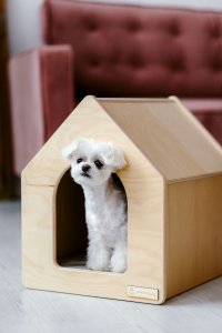 Drewniany domek dla psa Rico rozmiar M 6