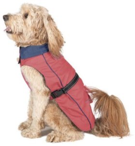 Płaszcz przeciwdeszczowy dla psa Dog Gone Smart Koral 35 cm 1