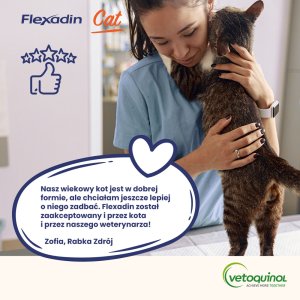 VETOQUINOL Flexadin Cat 60kąsków 4