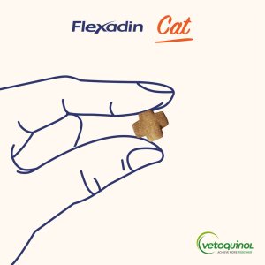VETOQUINOL Flexadin Cat 60kąsków 6
