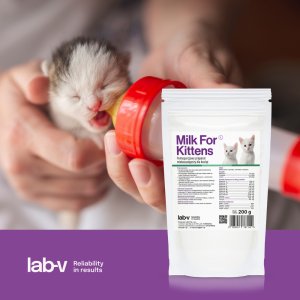 LAB V LAB-V Mleko dla kociąt pełnoporcjowy preparat mlekozastępczy 200 g 5