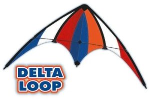 GUNTHER kite Delta Loop, 100x56 cm, ripstop, 1085 2