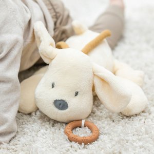 NATTOU Musical dog flannel vanilla, 30cm 4