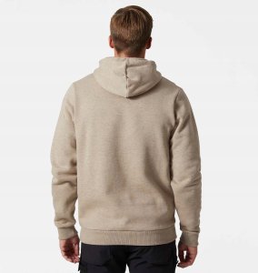 Jumper HELLY HANSEN Graphic Sweatshirt, green M 1