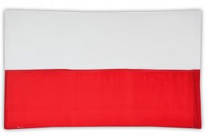 Springos BR3 BRAMKA PIŁKARSKA METALOWA SIATKA 300X200CM 4