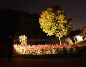 L77B LATARKA AKUMULATOROWA SZPERACZ        BANK ENERGII 6