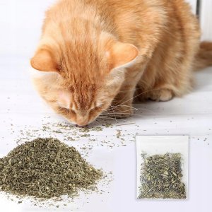 ZW3A DRAPAK KARTONOWY  KOTA RULETKA       KÓLKO DO ZABAWY 10