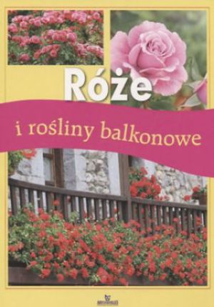 Róże i rośliny balkonowe 1