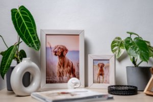 Ramka Umbra Ramka Woodflow FrameFlip A3 14