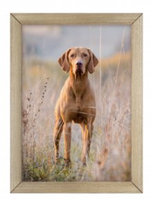 Ramka Umbra Ramka Woodflow FrameFlip A3 2