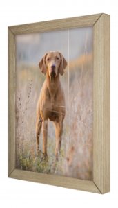 Ramka Umbra Ramka Woodflow FrameFlip A3 3