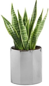 Osłonka ceramiczna srebrna walec 23 cm 1